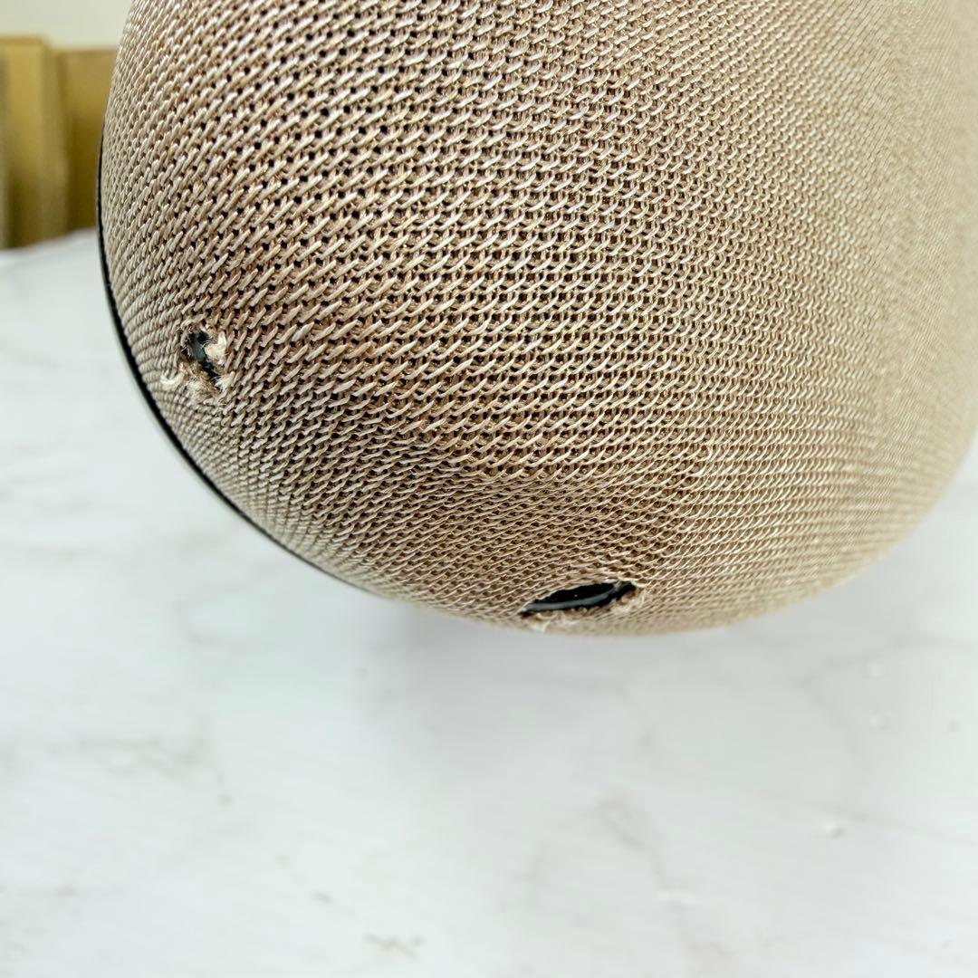 Bowers&Wilkins　Zeppelin Pro Edition　B&W