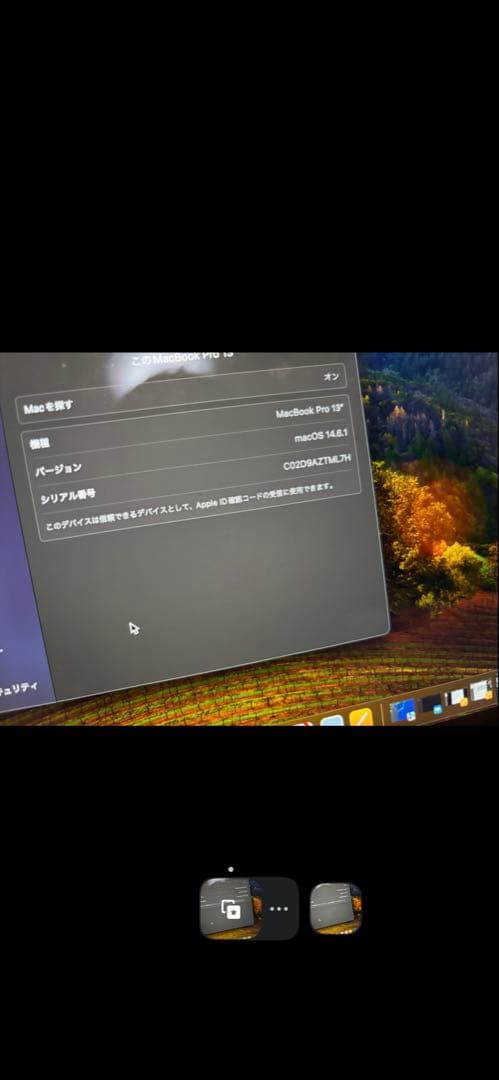 MacBook本体 Apple MacBook Pro 256GB