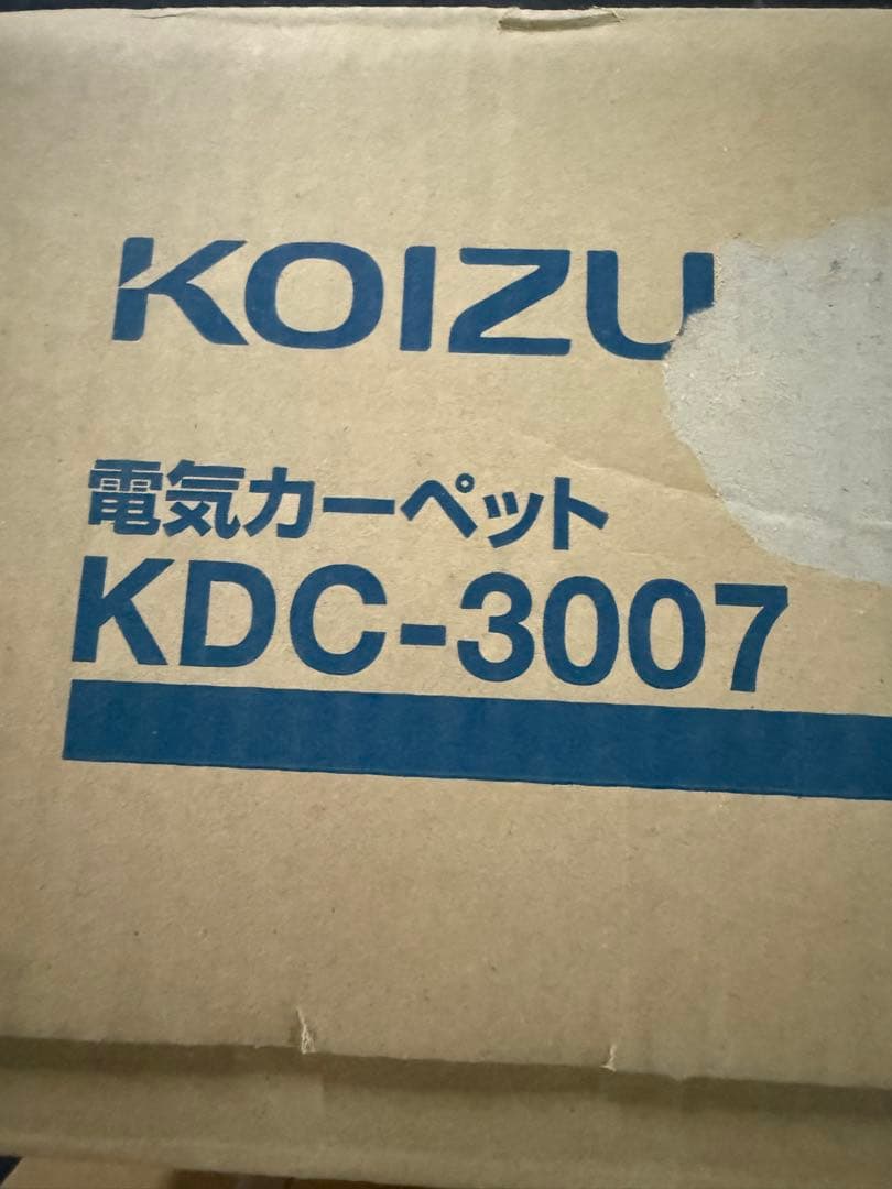 コイズミ 電気カーペット カバー付きセット 洗えるカバー 3畳相当 240×20