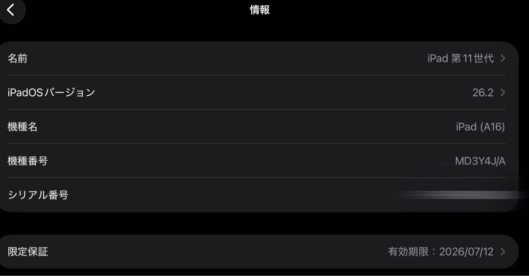 Apple iPad 第11世代 128GB Wi-Fiモデル 美品 付属品完備