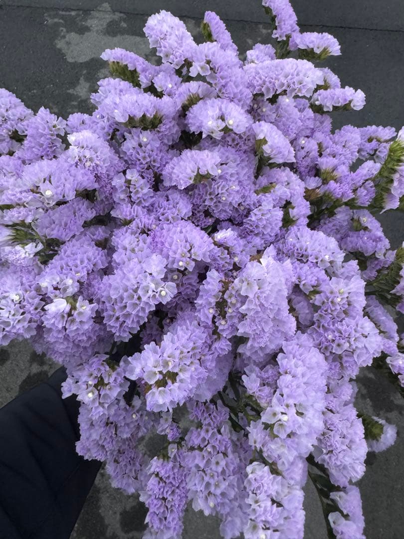 pp...様 リクエスト 3点 まとめ商品