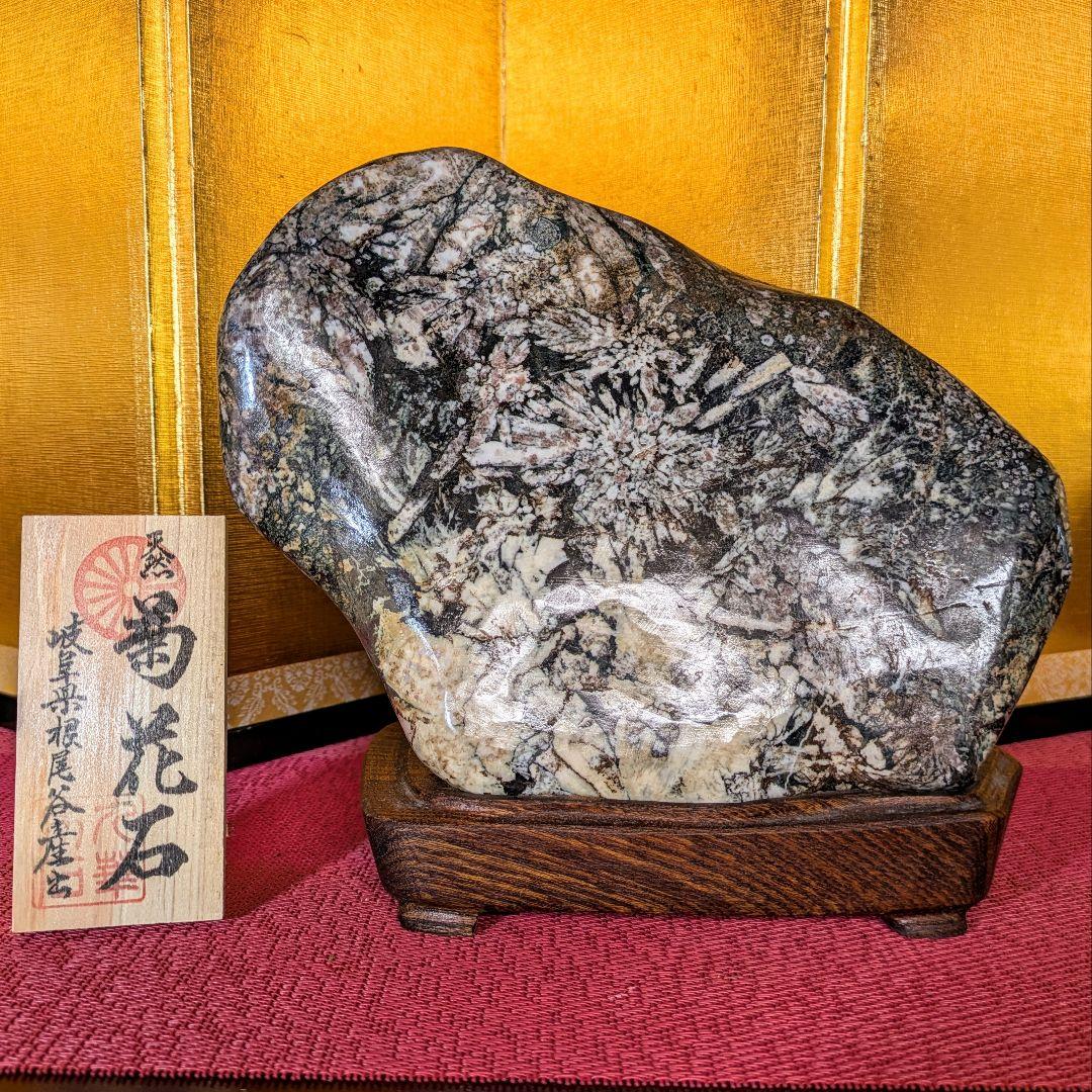 菊花石 縦横型 岐阜県根尾谷産4.8㌔ 鑑賞石 観賞石 水石 盆石 天然石 置物