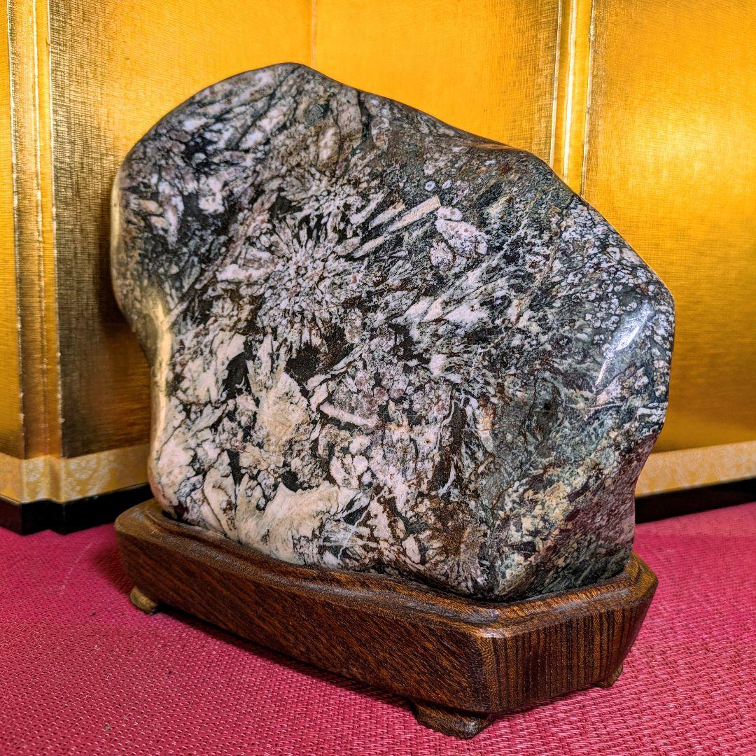 菊花石 縦横型 岐阜県根尾谷産4.8㌔ 鑑賞石 観賞石 水石 盆石 天然石 置物