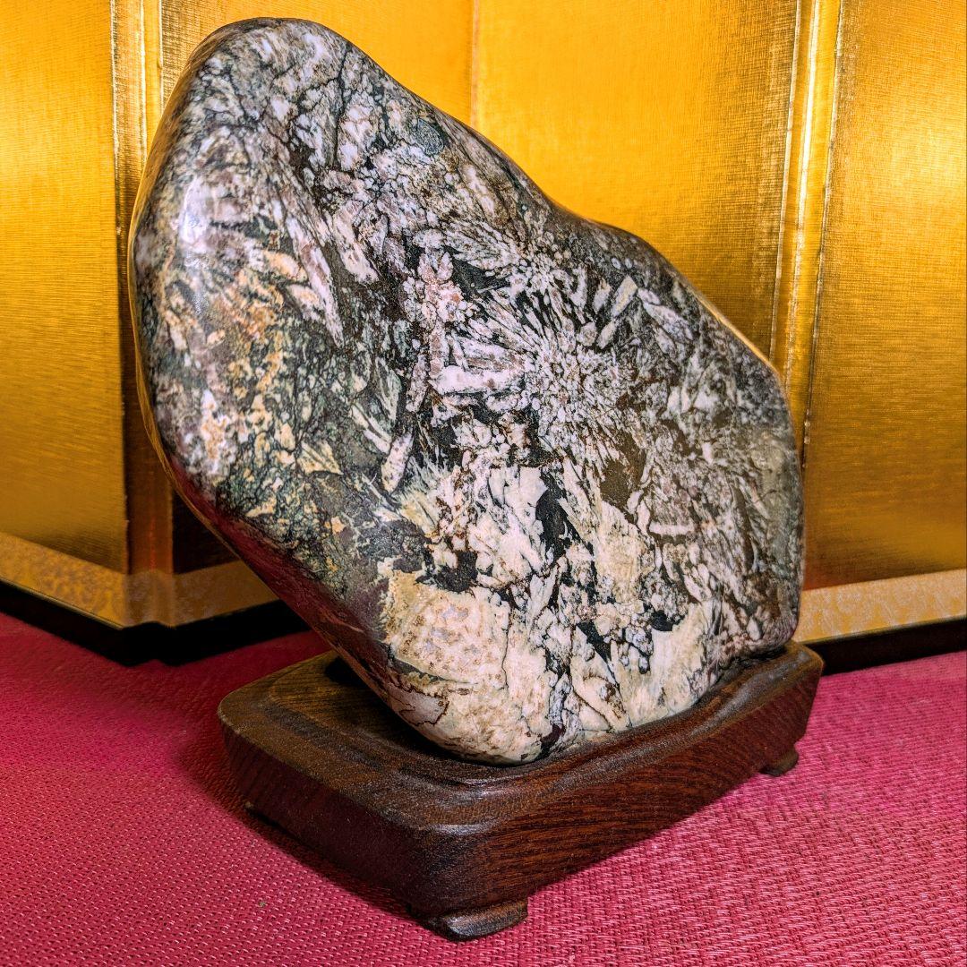 菊花石 縦横型 岐阜県根尾谷産4.8㌔ 鑑賞石 観賞石 水石 盆石 天然石 置物