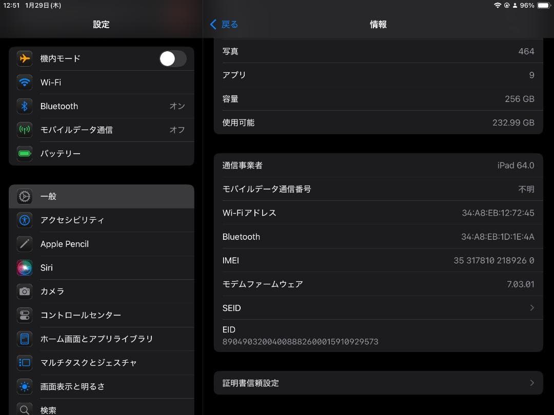 iPad mini 5 256GB Cellular スペースグレイ 本体のみ