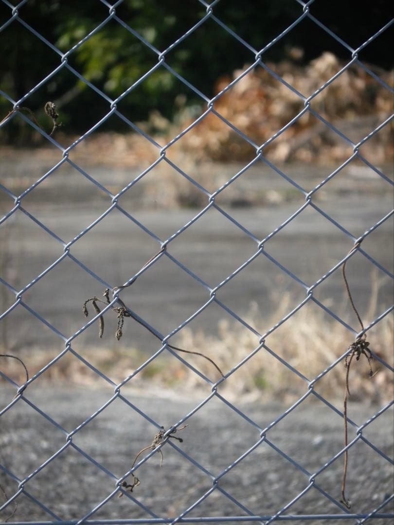 PENTAX★OptioブラックRZ18★付属品有り動作品デジタルカメラ