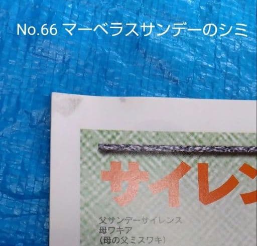 週間100名馬 Gallop 全巻100冊セット ＃ウマ娘