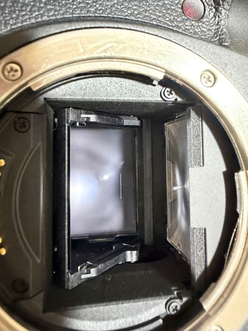 【値下しました】Canon EOS 6D Mark II 【一眼レフ基礎セット】