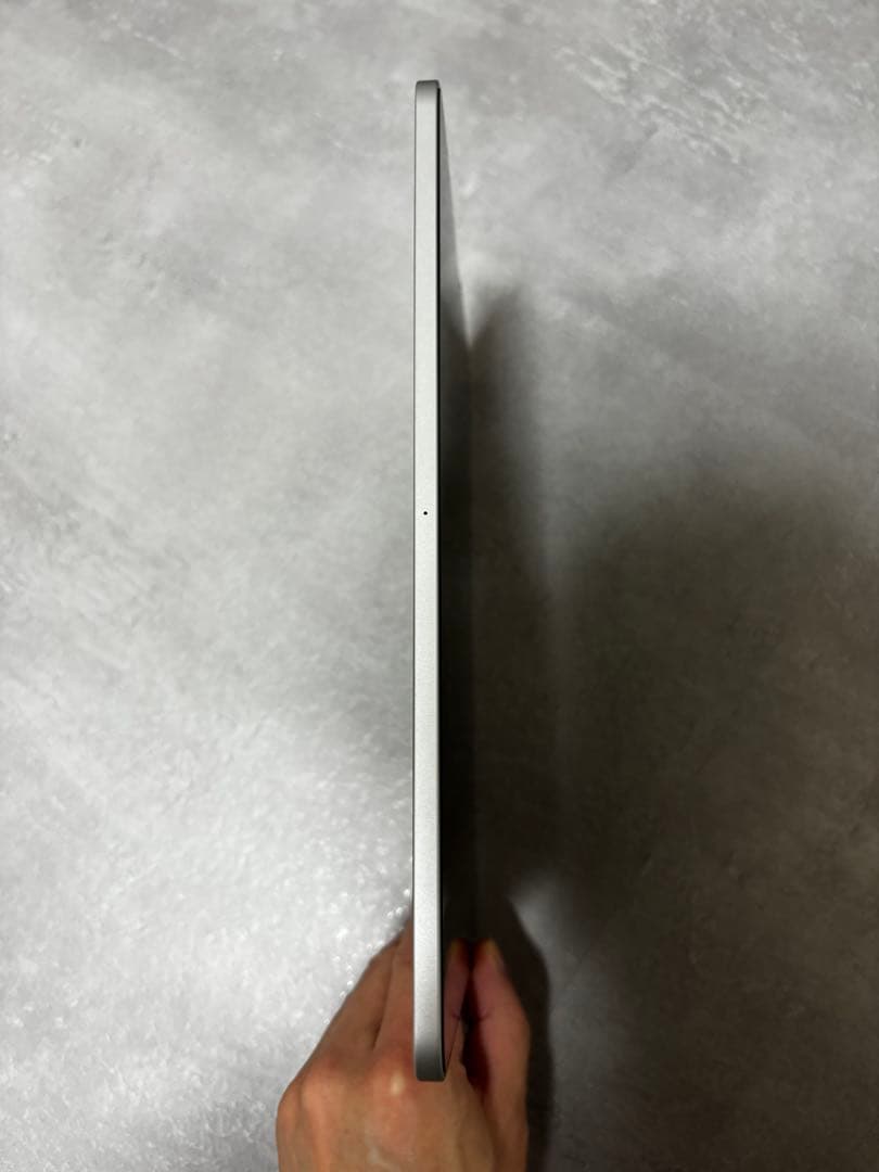 【美品】iPad pro 11インチ第一世代 シルバー 本体 おまけ付き