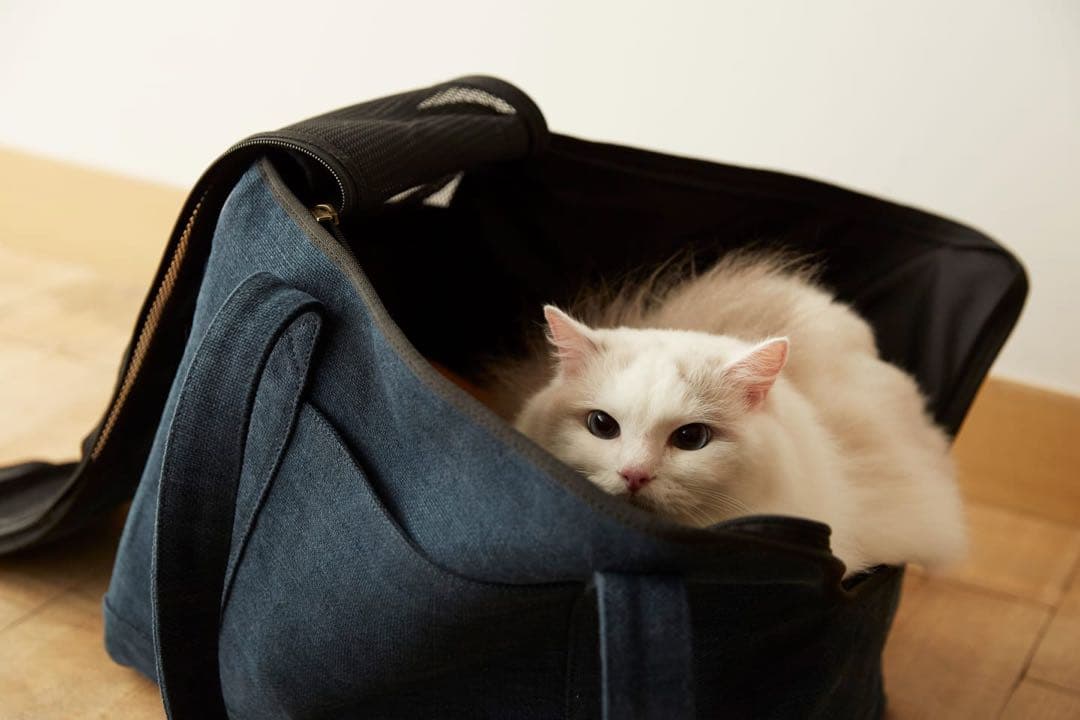 セール！マザーハウス×RINNコラボ 猫用キャリーバッグ