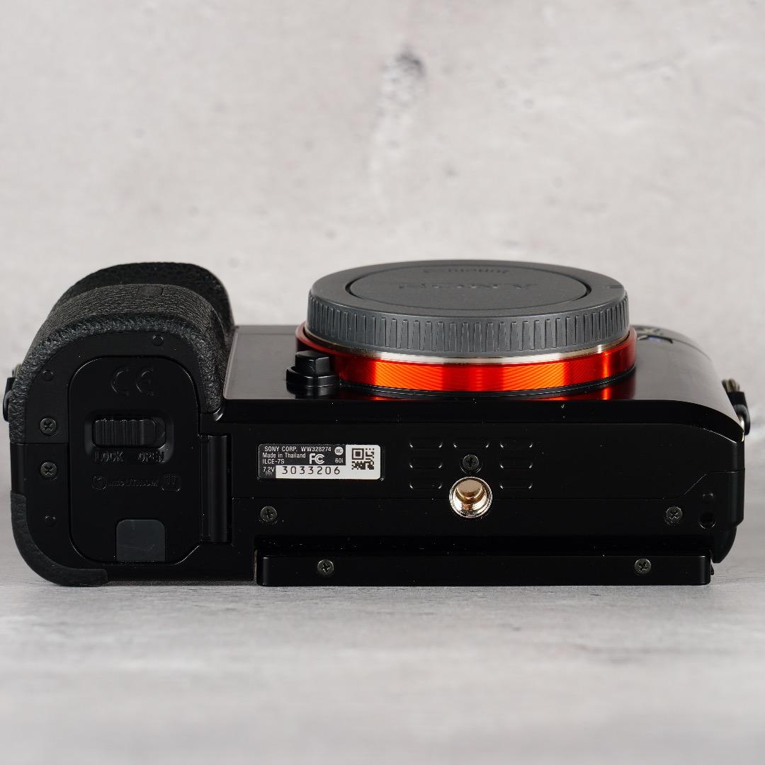 闇を光に変える魔法のカメラ★α7S★13,296回 SONY ILCE-7S
