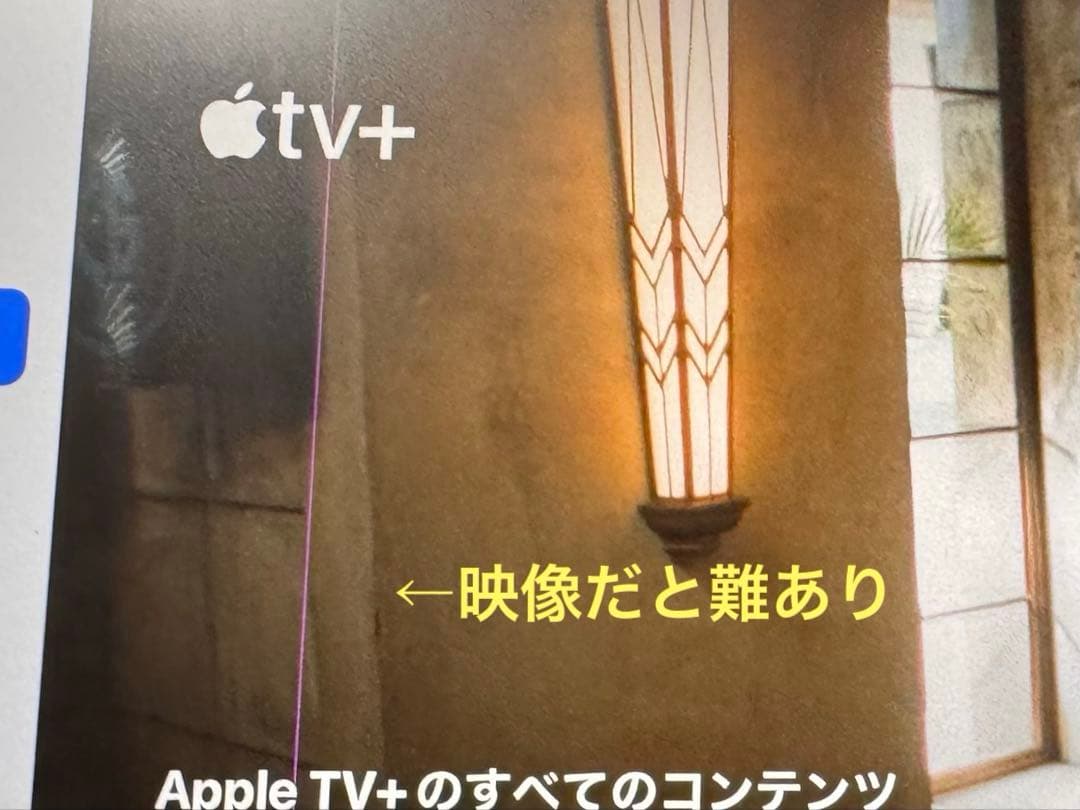 iPad Pro 12.9インチ 【画面難あり】【バッテリー劣化してます】