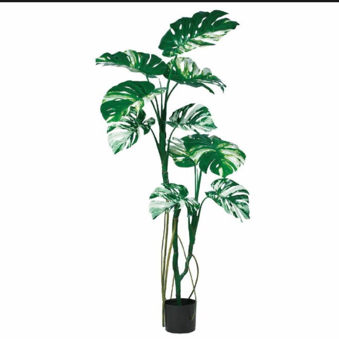 光触媒　人工観葉植物　ウォールグリーン　フェイクグリーン　モンステラポット145