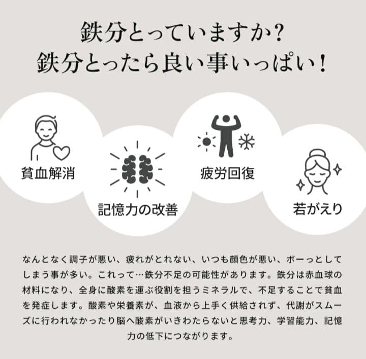 南部鉄　岩鋳　まいにち鉄分摂取できる鍋　日本製