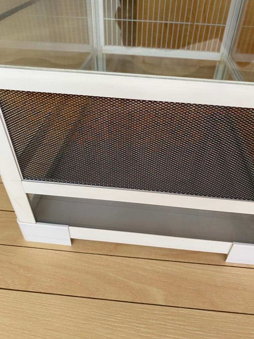 パンテオン　ホワイト　WH４５３５ REPTI WILD 爬虫類　小動物　ゲージ