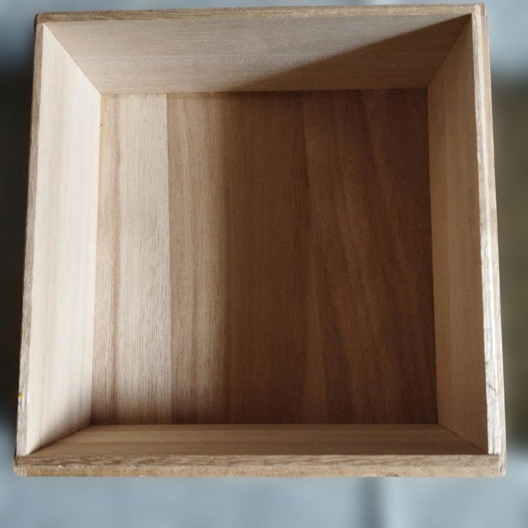 輪島塗　桜と紅葉柄　5枚(桐箱入り)