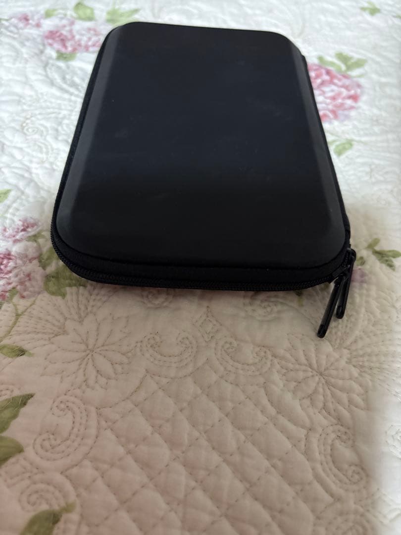 CASIO 電子辞書 EX-wordフランス語DATAPLUS10 ケース付