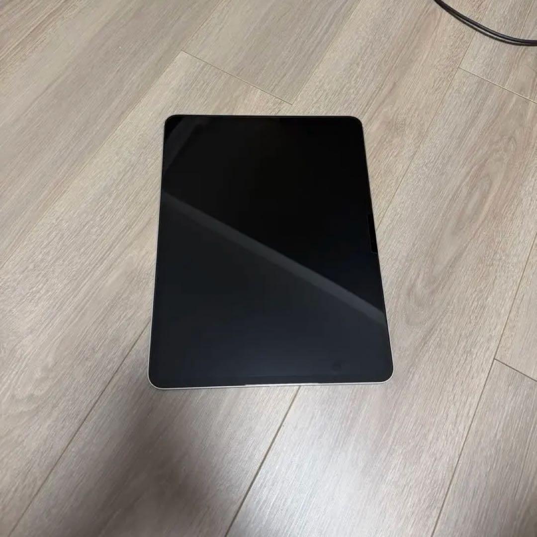 Apple iPad Pro M4 シルバー 本体 取扱説明書付き