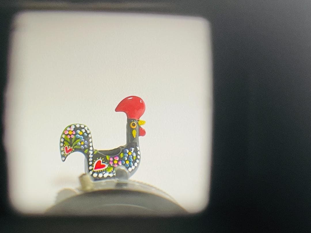 ツァイスイコン Zeiss Ikon NETTAR 75mm F4.5