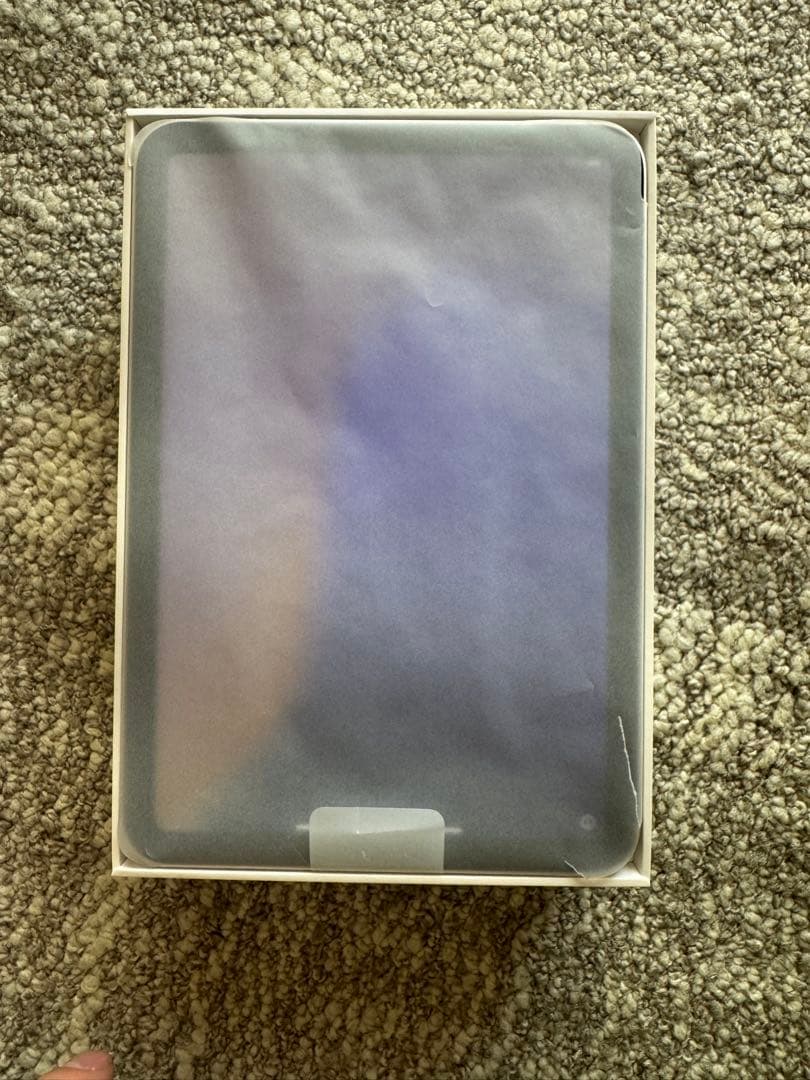 iPad本体 Apple iPad Mini 6 256GB Wi-Fi