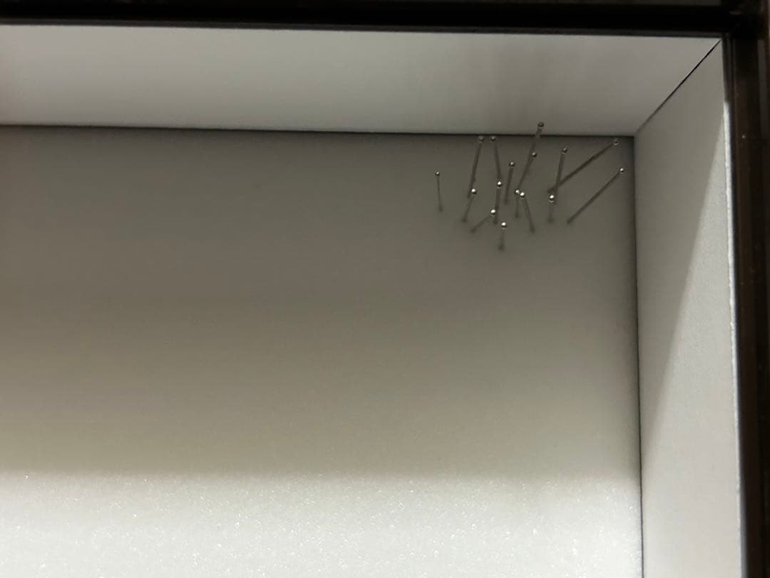 ヘラクレスオオカブト標本(亜種5種) シーラケース付きセット