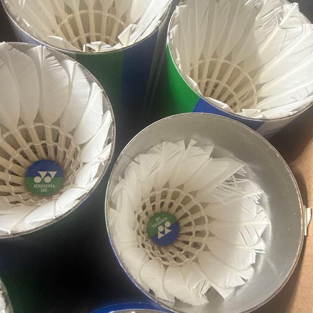 バドミントンシャトル　基礎打ち用　520球