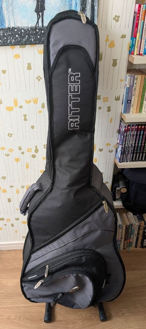 Rolandポータブルアンプ ARIAFET-CST SRエレアコギターのセット