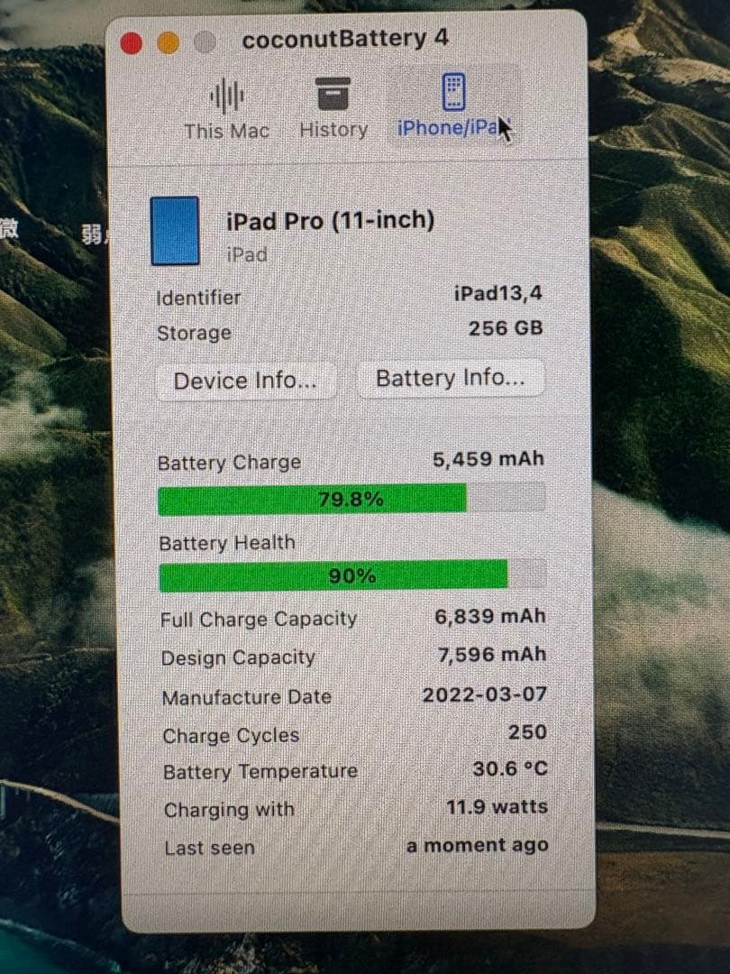 iPad Pro (11インチ) 第3世代 256GB Apple Pencil