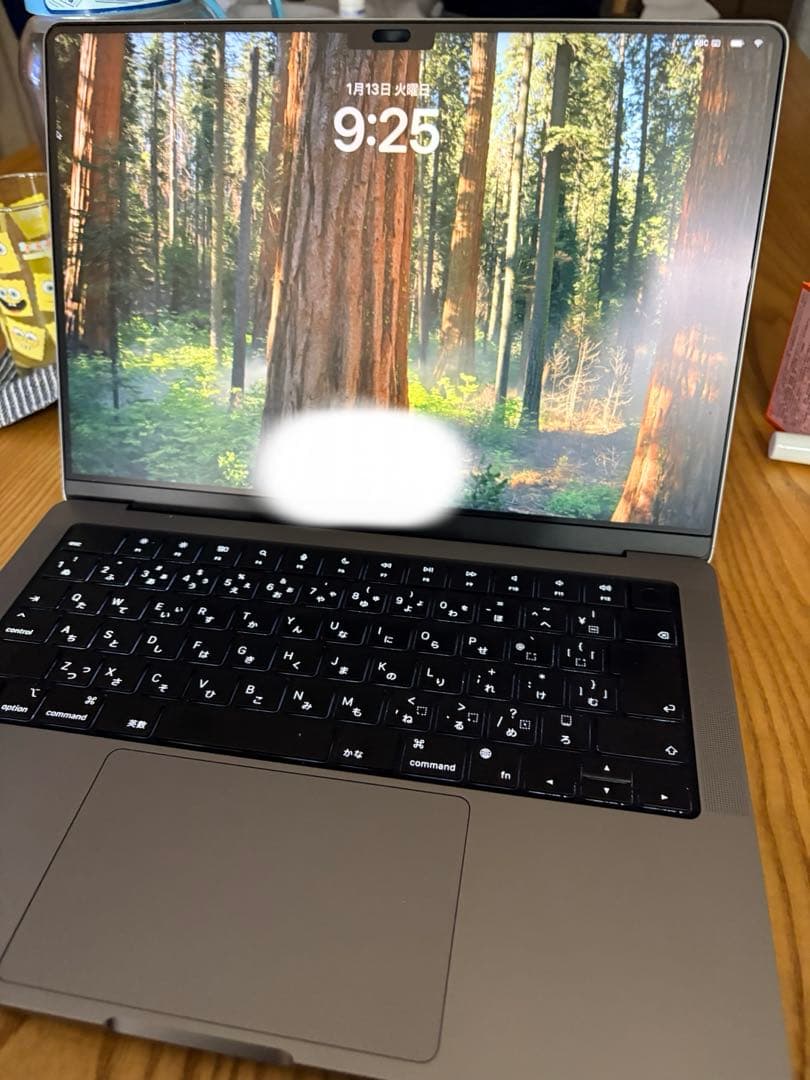 Apple MacBook Pro 14インチ M1 Pro 32GB