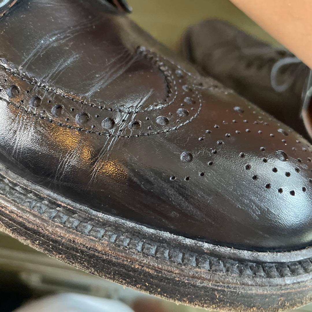 オールデン シューツリー付き BEAMSプラス別注 ウイングチップ