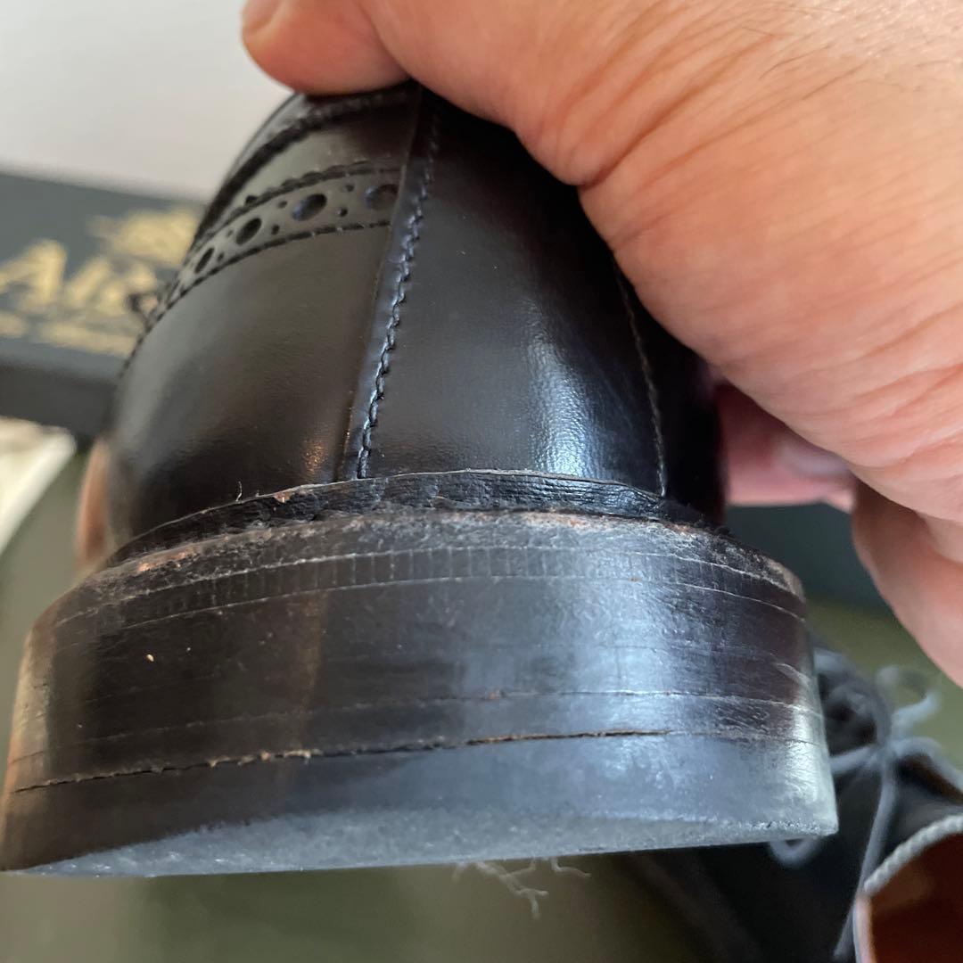 オールデン シューツリー付き BEAMSプラス別注 ウイングチップ