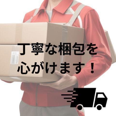 掃除機 コードレス Bivark 28000pa超強力吸引【2025業界初!吹b