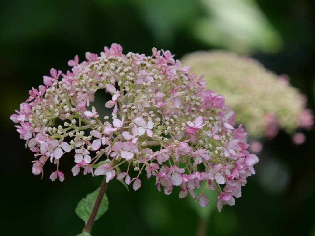 ★★美品★★完動品★★ルミックス高性能一眼ＤＣ－Ｇ９９安心のセンサーゴミ試験済★
