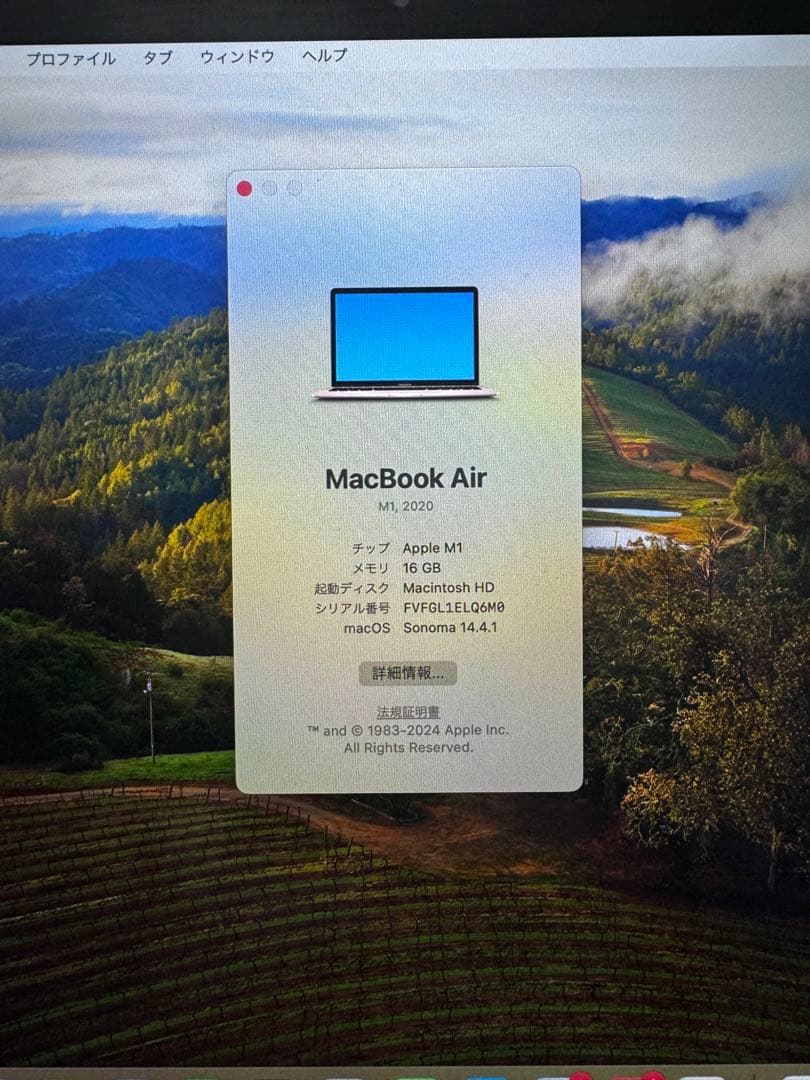 MacBook air M1 メモリ 16GB SSD 256GB ゴールド