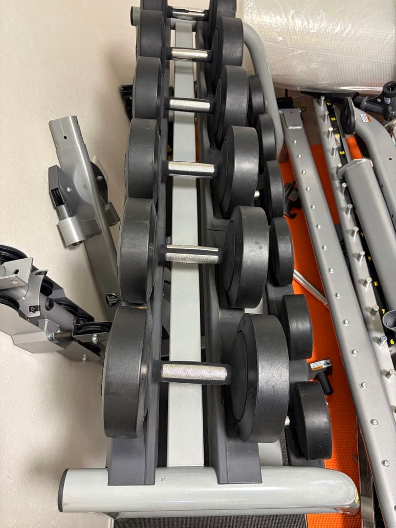 TECHNOGYM テクノジム ダンベルセット 12kg〜22kg（計12本美品