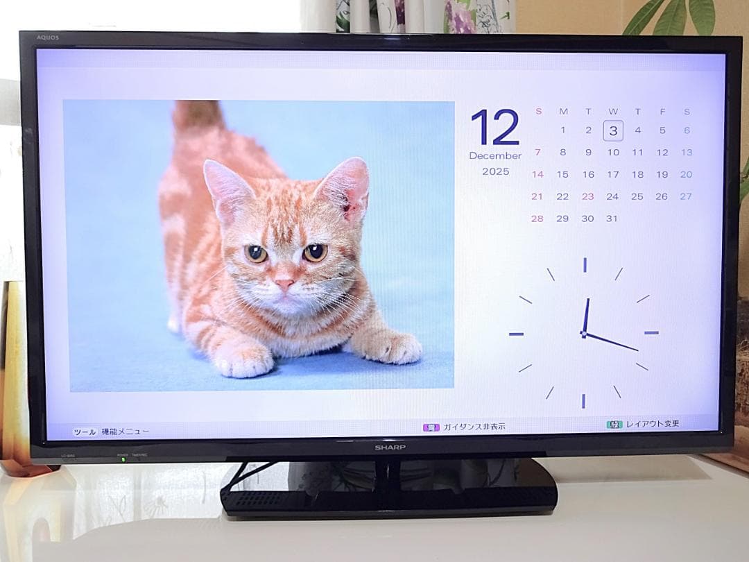SHARP 32V型 液晶テレビ LC-32S5 録画対応 LEDアクオス