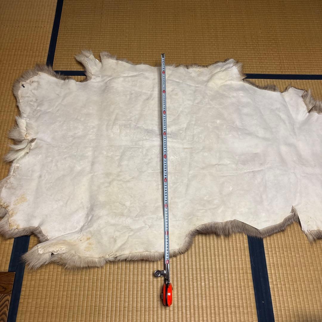 トナカイ毛皮　高級毛皮ラグ LARGE