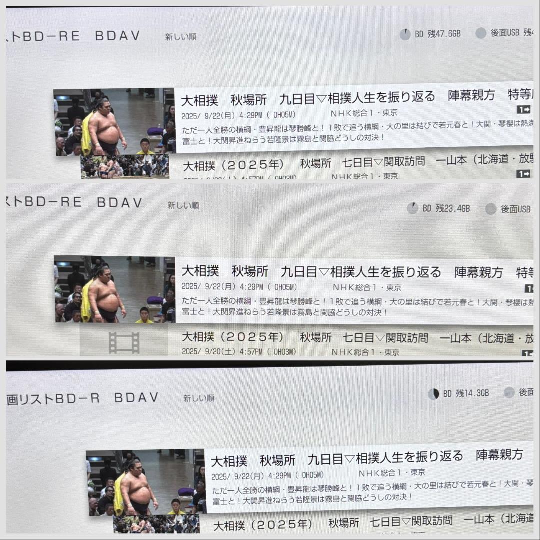 【完動・付属品フルセット】W録 ソニー ブルーレイレコーダー BDZ-ZW550