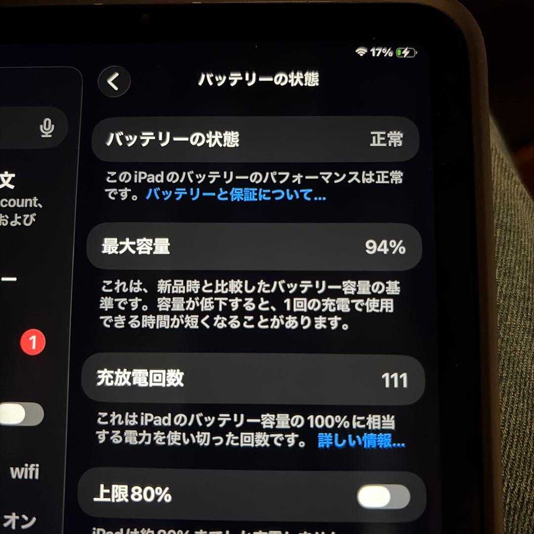 iPadmini 第7世代 A17Pro cellular ブルー