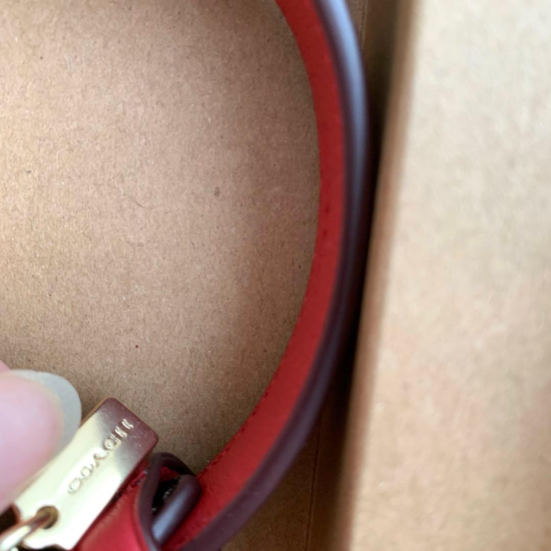 COACH コーチ　シグネチャー　赤　首輪　ドッグ　リード 小型犬　犬　ペット