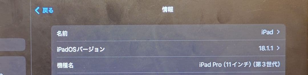 Apple iPad Pro (11インチ) 第3世代 apple pencil