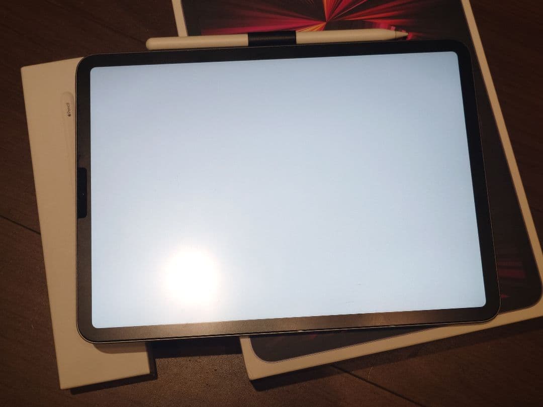 Apple iPad Pro (11インチ) 第3世代 apple pencil