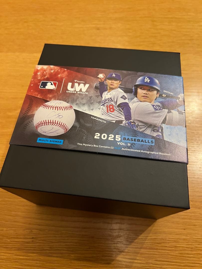 Jasson Dominguez 直筆サインボール（Fanatics)