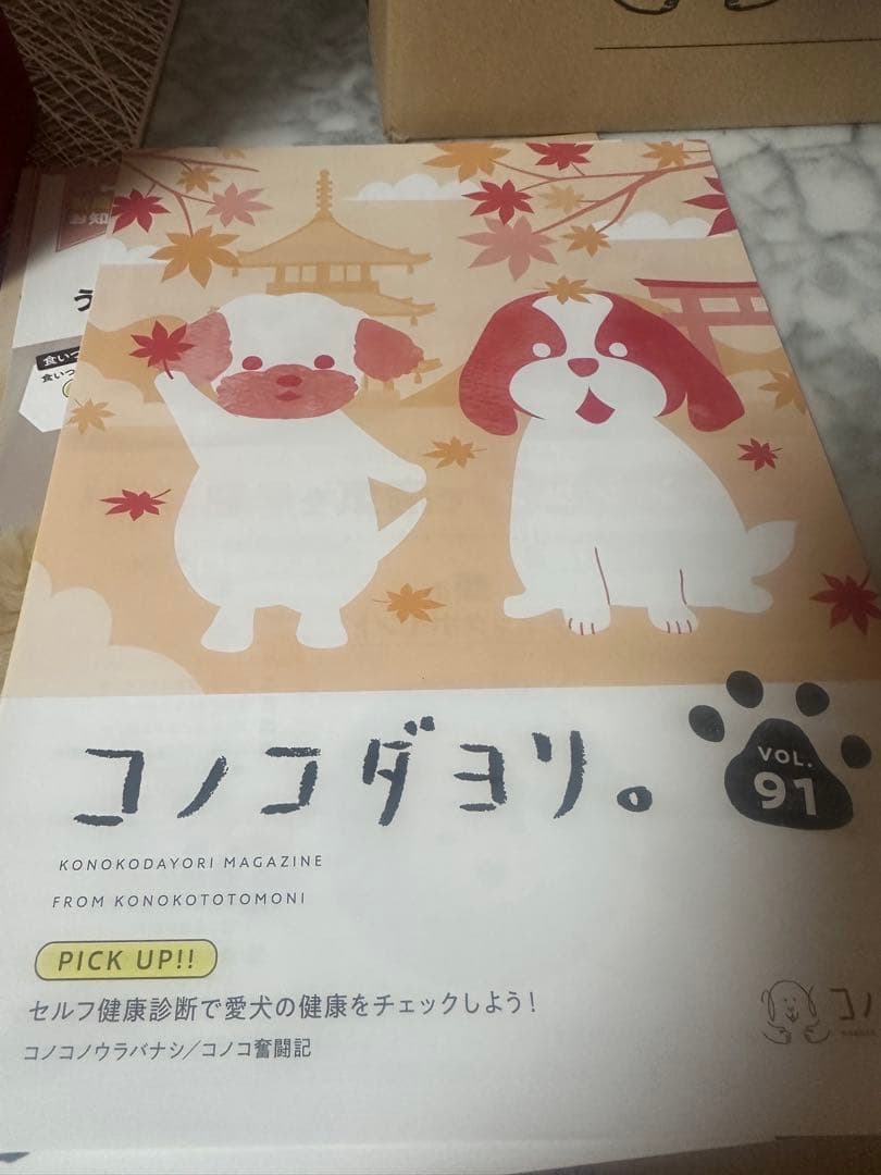 wataさん専用このこのごはん ４袋セットドライフード