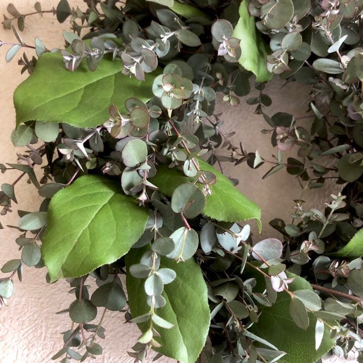 受注制作　ユーカリリース