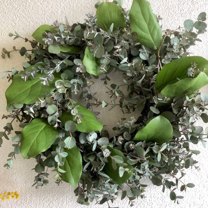 受注制作　ユーカリリース