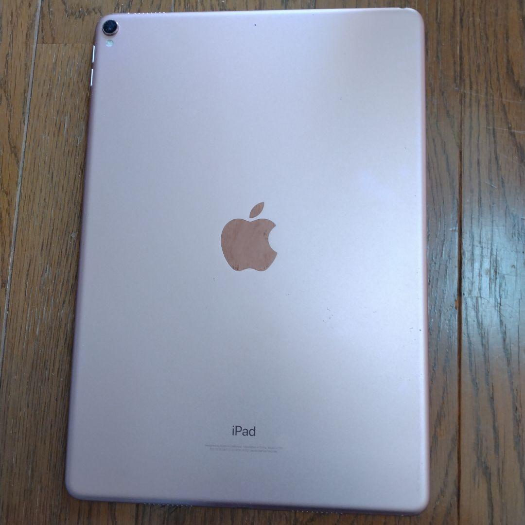 ビートルートスープ　Apple iPad pro 第2世代