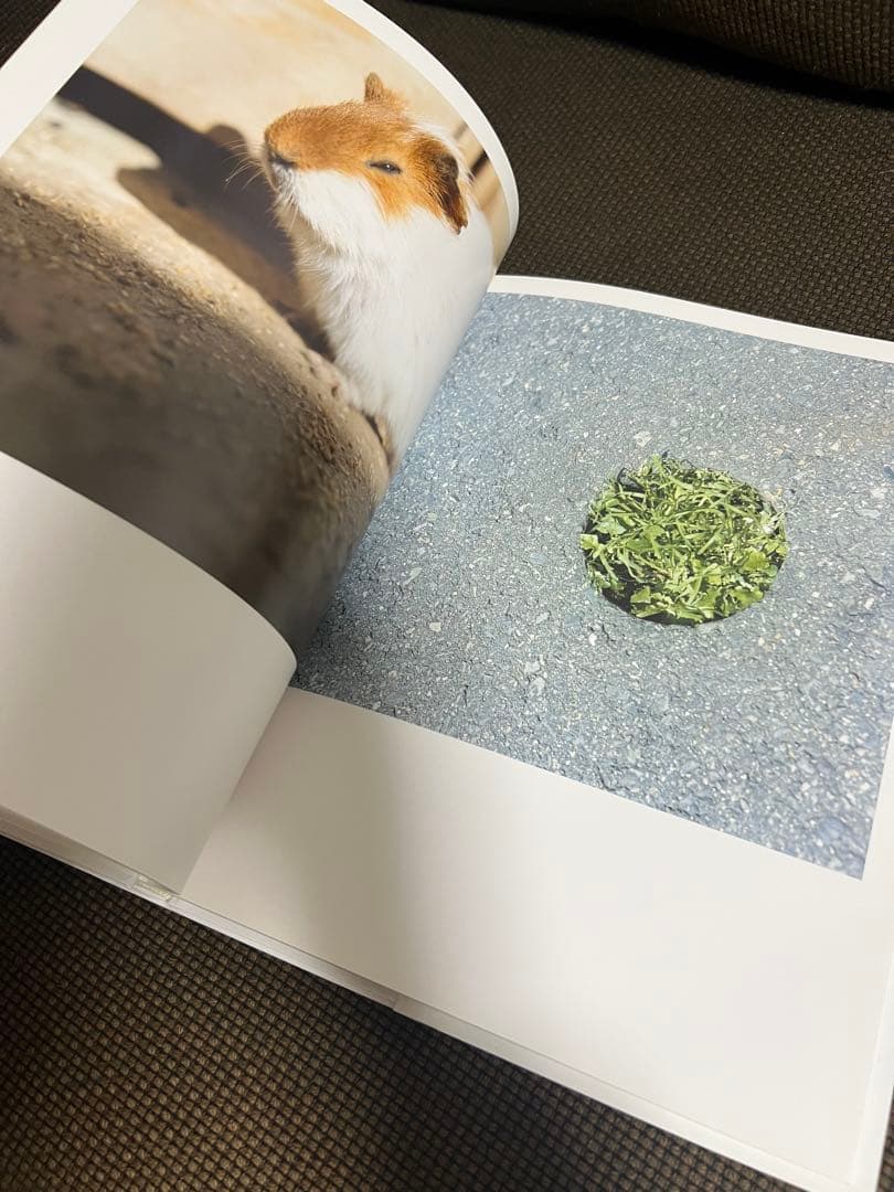 川内倫子 AILA アイーラ 写真集 美品 第二刷