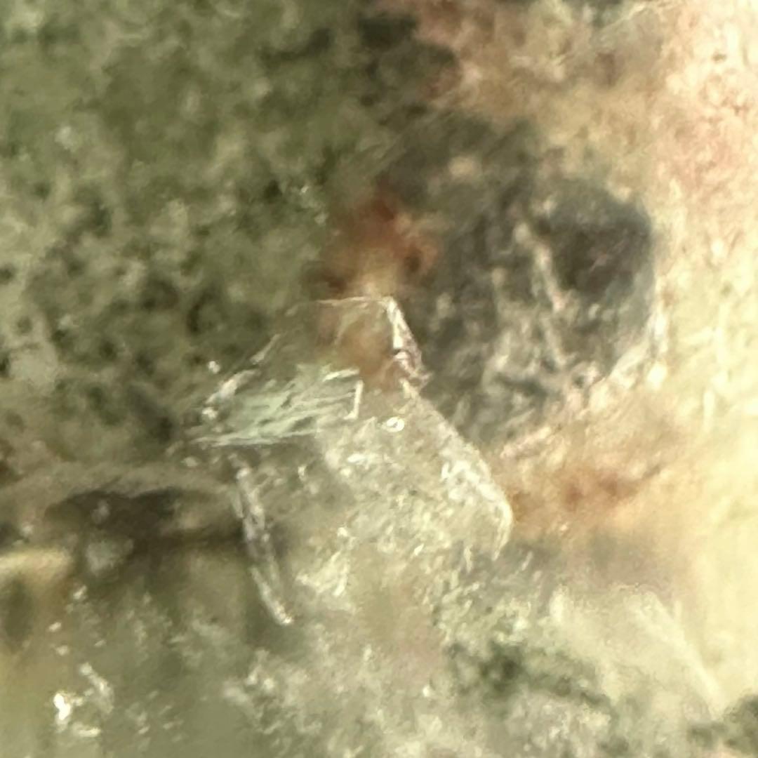 【希少】ガーデンクォーツタワー淡ピンクレアクォーツインファントムフラワー