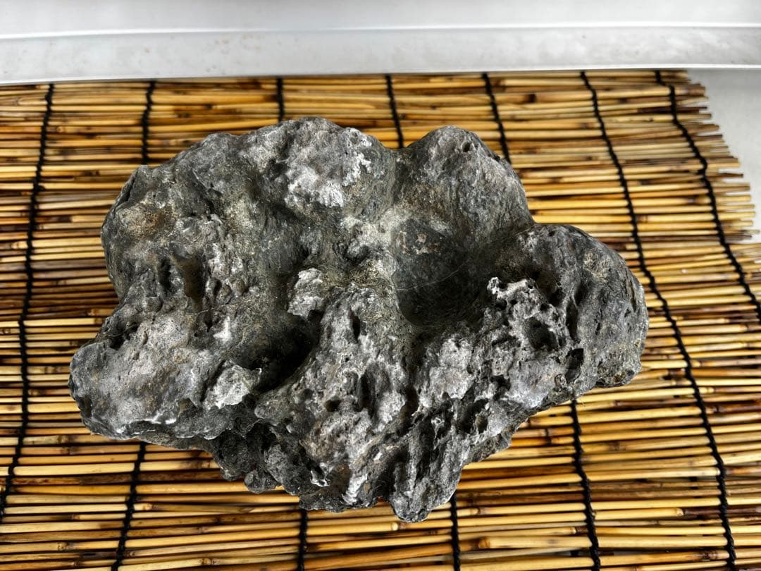 佐治石〈17〉【Taiyoメダカ】